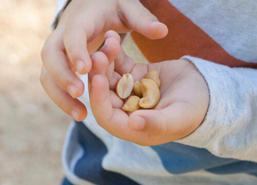 Photo of a child holding walnuts